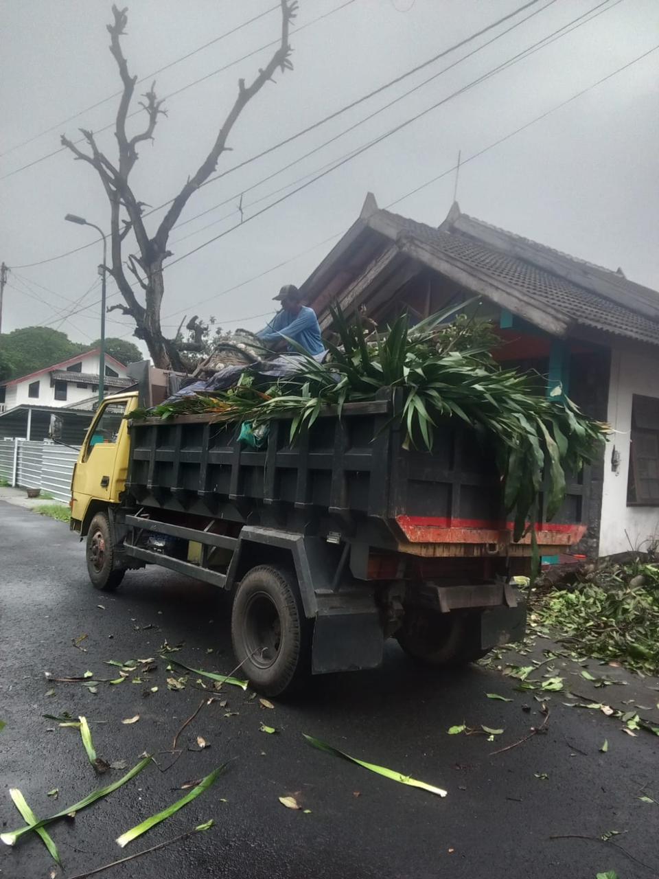 Buang Sampah